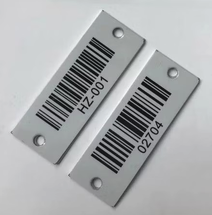 Asset Tags (variante)